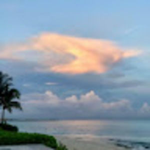 Meet your Posher, Gloria